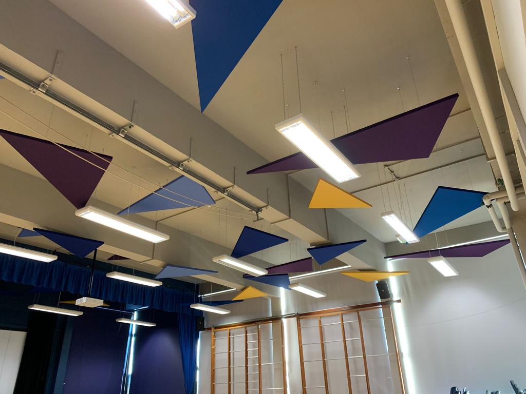 Custom triangle acoustic ceiling panels in a sports hall